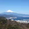 日本平とイチゴ狩り