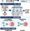 多発性骨髄腫の最新治療と予後改善 ～20年間の進歩を振り返る～