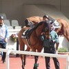 【一口馬主／ラキエータ】快走！なんですが…
