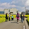 菜の花ウォーキング 