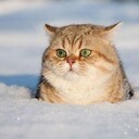 時期が来たので仮想通貨の会計について語ります
