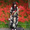 巾着田の曼珠沙華の世界