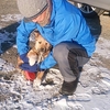 子犬たちお散歩練習中