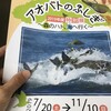 アオバトのふしぎ・生き物のふしぎ