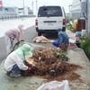 花栽培のポット残土を使っての土壌改良実験