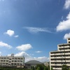 空。マロン