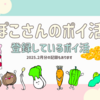 ぽこさんのポイ活 ２