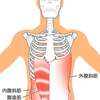 ニートゥチェストで鍛えられる筋肉は？効果とやり方