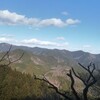 (山)2019.1.2(水) 伊豆ヶ岳