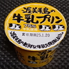中央製乳「渥美半島の牛乳プリン」