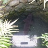 No.407【長崎県】その井戸の中には大きなウナギが…！！樺島の古井戸を覗きに行こうぜ！