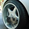 つれづれに