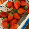 休日の過ごし方🍓