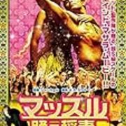 マッスル 踊る稲妻 ながら見日記 外伝 マッスル 踊る稲妻 ながら見日記 外伝