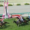 ＪＲＡ穴馬予想【東京競馬場　穴馬予想】2月12日（日）