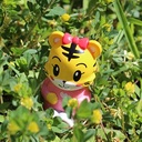 Benesseで子育て