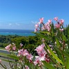 8月6日、広島原爆の日から78年〜広島で感じたこと〜