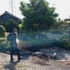 庭木の消毒