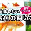 怠惰なガイジが金魚を飼った結果共食いし始めた話