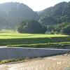 たぶん梅雨明け?