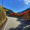 清流日本一の町の紅葉