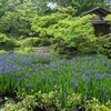 燕子花図屏風の茶会　昭和12年5月の取り合わせ　A Tea Gathering with the Irises Screens:An Assemblage from May,1937