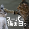 100年に１度！スーパー猫の日