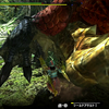 【MHXX】ハンターランクを上げよう その３