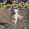 犬は幸せになったのか？