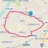 雨が降り出す前にモーニングウォーキング５．０ｋｍとカーシートが届いた