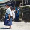 【KOREA】子供が子供をおんぶする1950年代