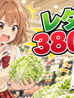 レタスが380円!? 