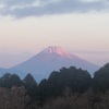 今朝の景色