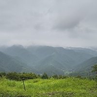 森林浴　forest bathing