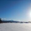 今日も良い天気