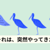 年始からコロナ爆発の我が家