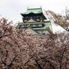 大阪城公園でのお花見