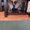 生きていくための課題