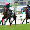 競馬初心者必見☆馬券予想🔥〜七夕賞〜七夕に想いを寄せて‥‥願うのは万馬券！？