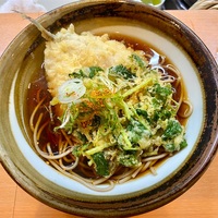 鈴しげ（亀有）アジ天そば＋季節の天ぷら〔ミツバ天〕