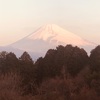 今朝の景色