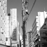 今度はちゃんと参拝巡りな雑司ヶ谷七福神巡り！