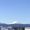 朝１０時の富士山