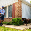   アメリカでは多くの郵便配達員が犬に襲われています