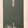 龍詩集　1992