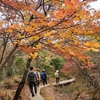 九州百名山５つに登るオンラインブログ初日は【霧島山（韓国岳）】😎