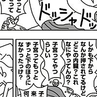 妊娠後期とは 一般の人気 最新記事を集めました はてな