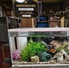 僧兵鍋とギリシャ風呂　國分屋【和歌山県岩出市　根来寺】