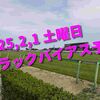 2025,2,1 土曜日 トラックバイアス予想 (東京競馬場　京都競馬場　小倉競馬場)