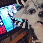 【緊急御礼】月曜から夜ふかし2025/9/22「羊と犬と狼と狸を混ぜた獣装家」をご覧下さった皆さまへ